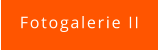 Fotogalerie II